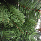 Árvore De Natal Montreal 150 Cm  448 Galhos| Natal Formosinha